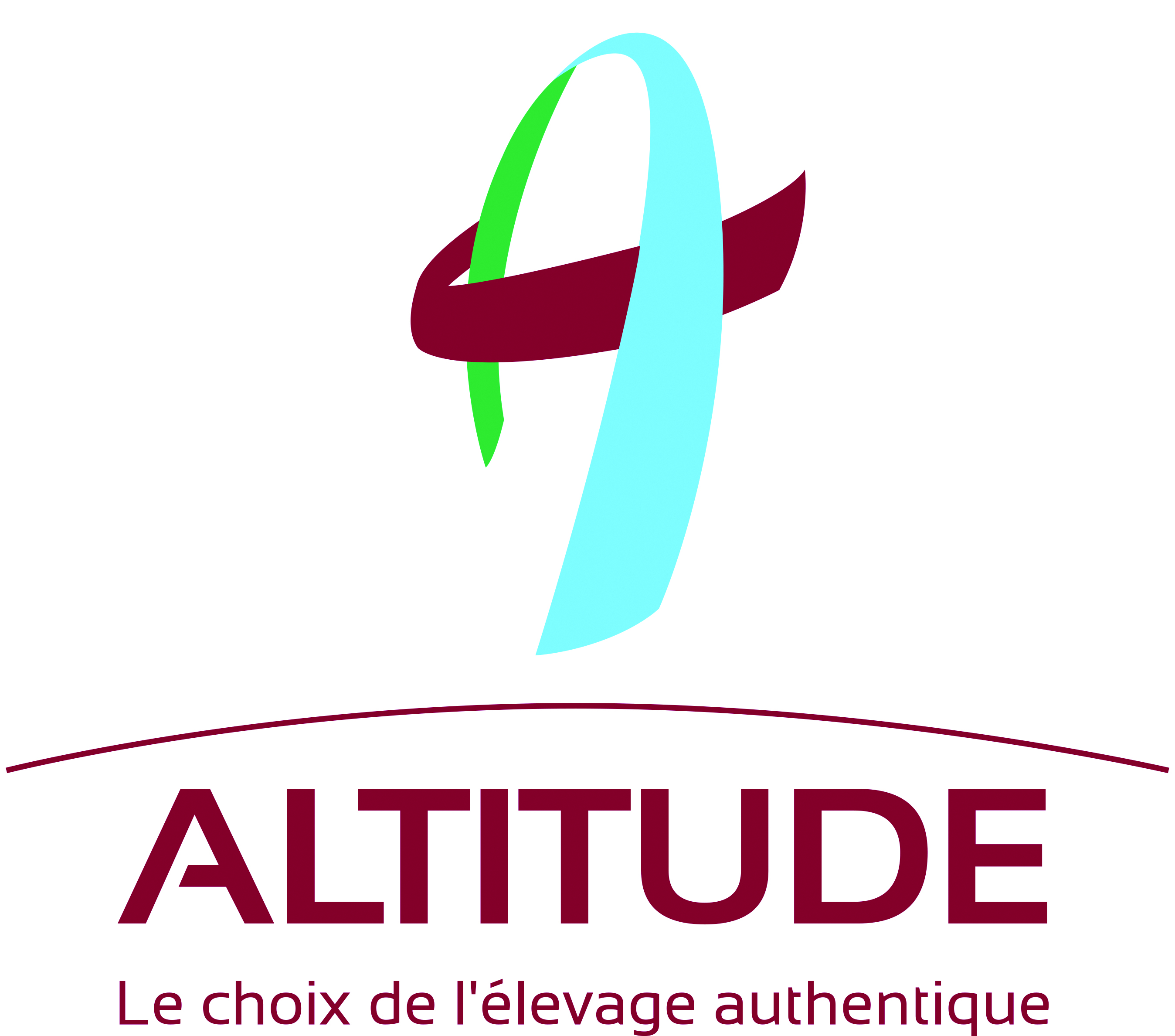 logo ALTITUDE