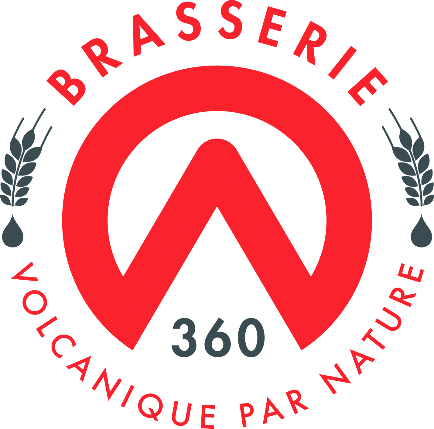 logo BRASSERIE 360 